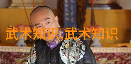 武林秘籍全集探索武术资料网的宝藏之谜