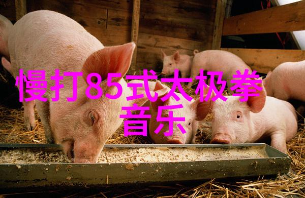 在现代社会中世界上最狠的拳法依然保持着怎样的实战价值