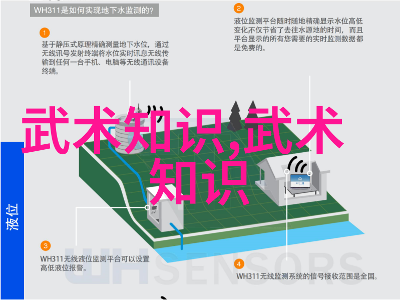 武当十五代传人的拳种过气的捶法在反复中寻找新生