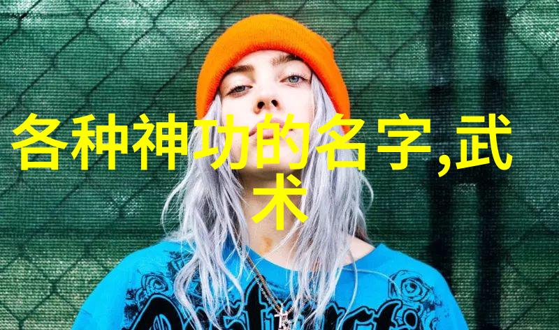 秘笈古韵武者之心与法则的隐秘篇章