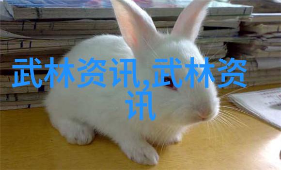 云霄仙家咏春拳流传千年的秘技轻拂春风沉淀江湖