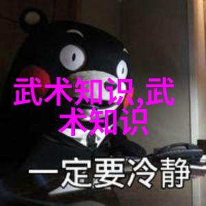 太极拳之美邱慧芳教授的24式全套教学艺术
