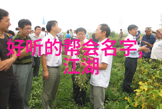 轻功学习法则解析内外兼修的实践策略与训练路径