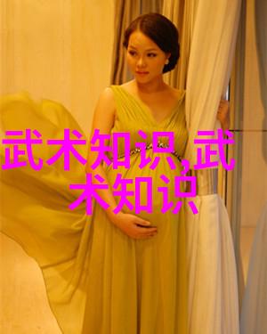 太极拳舞动四十式口令引领的艺术探索