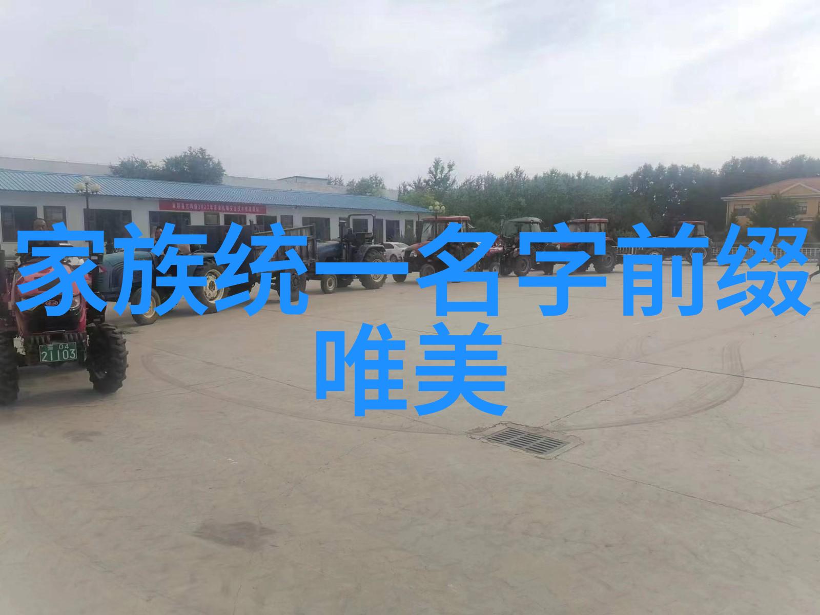 武林秘籍中隐藏的招式究竟有多少