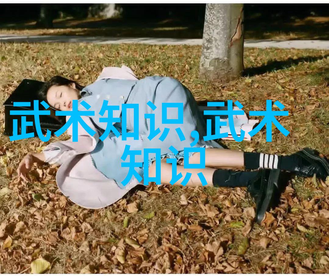 武林秘籍-探秘中国十大剑法剖析古代剑术的精髓