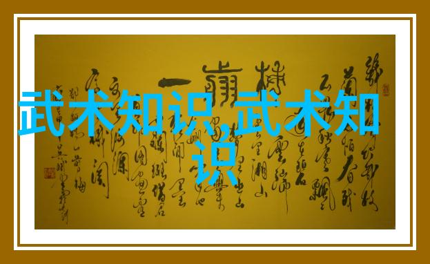 中国武术秘籍研究解读古代武学典籍中的内在哲理与实践技巧