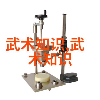 武术世家中国最有实战性的功夫中华古老的打斗艺术