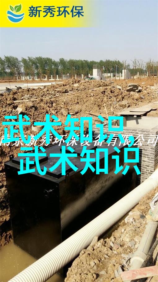 国宝级精华探秘呦呦仙踪林中的传统工艺与现代魅力