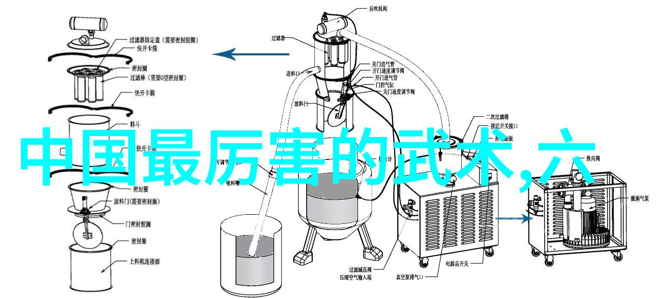 古代武术训练方法内功修炼形意拳法剑术技巧