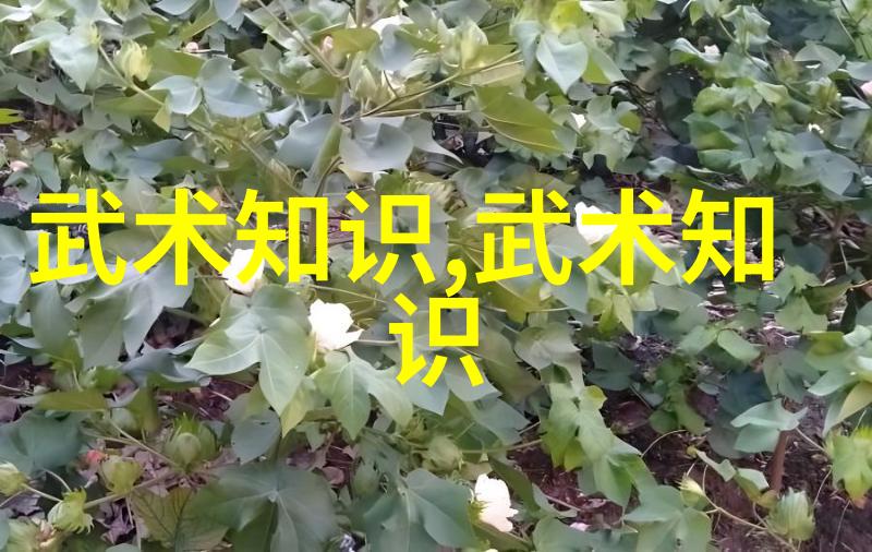 中国十大武术排行榜 - 武林至尊揭秘中国传统武术的巅峰之选