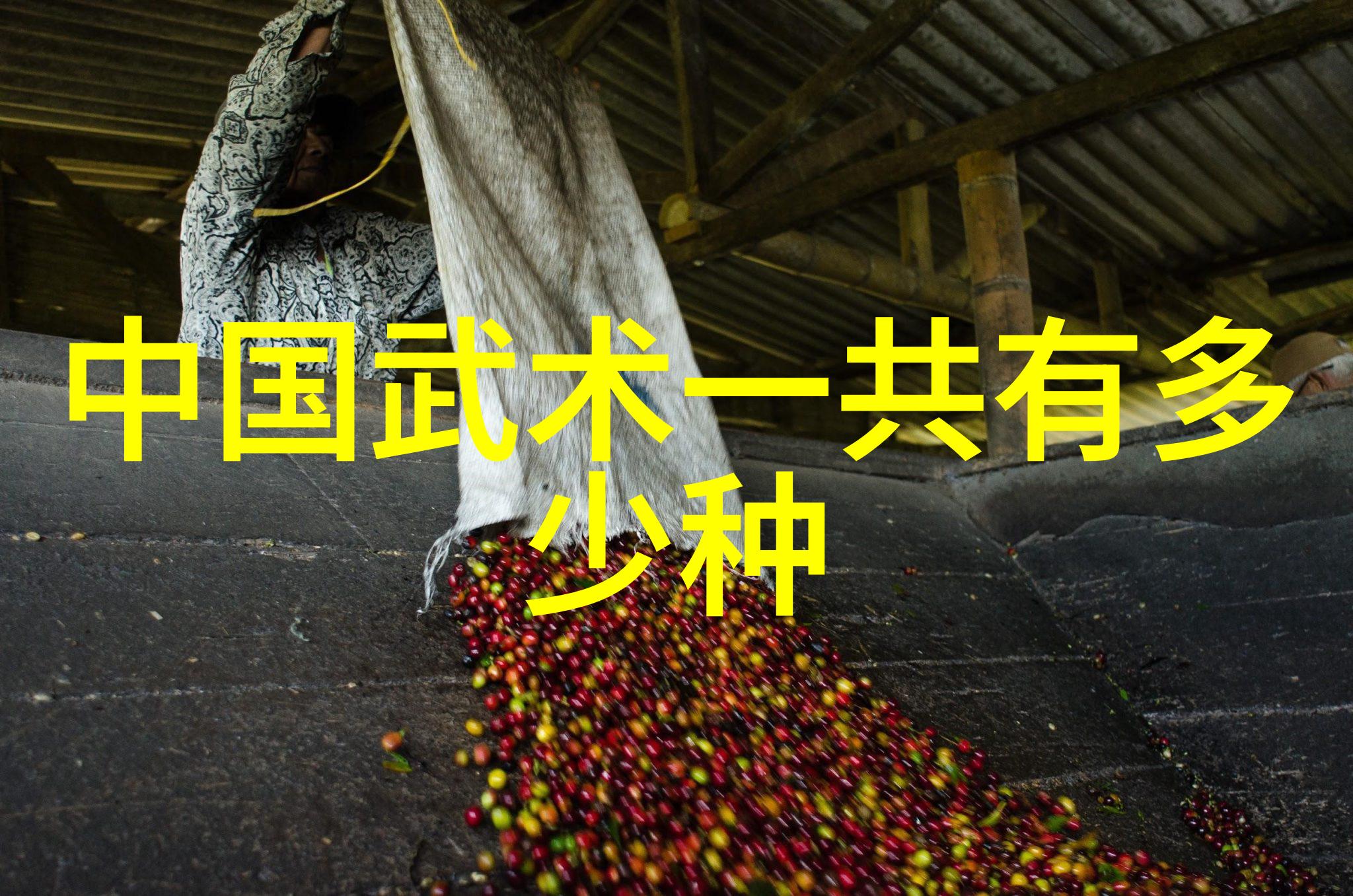 幽默古风帮会笑傲江湖的奇幻冒险