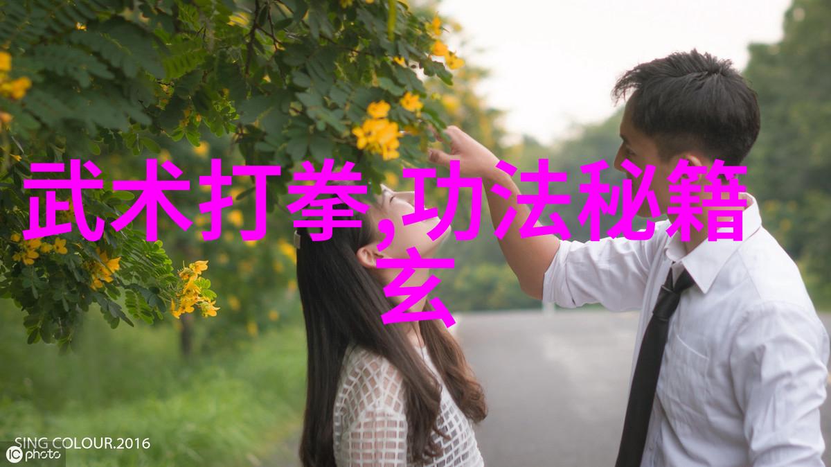 太极拳24式一步一势的流转之舞