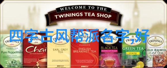 中华古韵拳影中传承的智慧