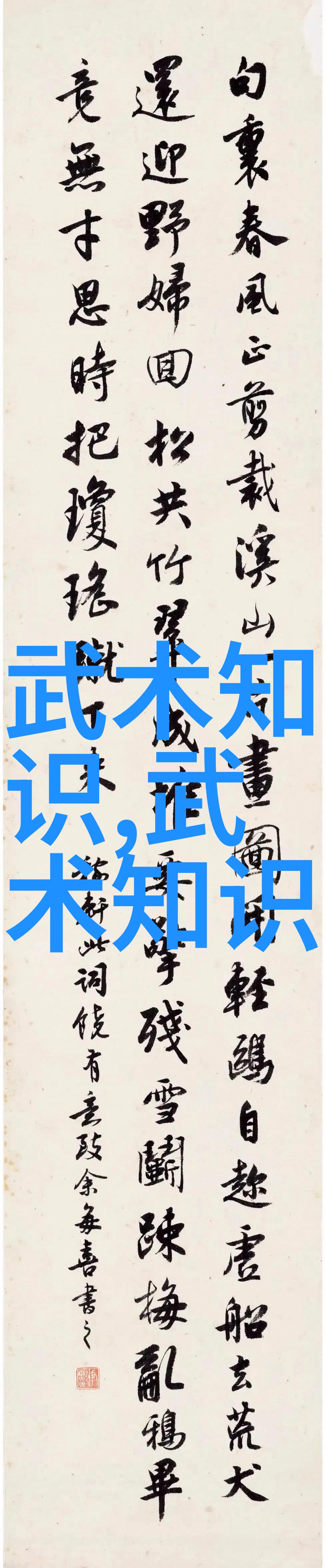 入门拳法技巧如何有效防御对手的攻击