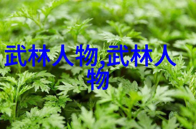 中国武术秘籍书揭秘古代内功心法与打斗技巧