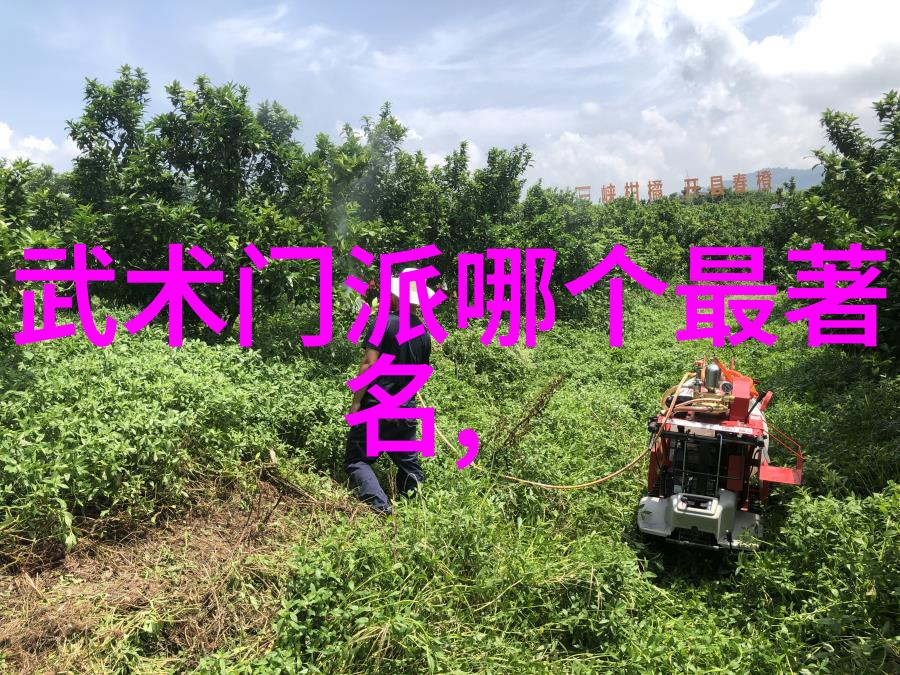 传承与创新如何将中国古老的打架艺术融入生活中