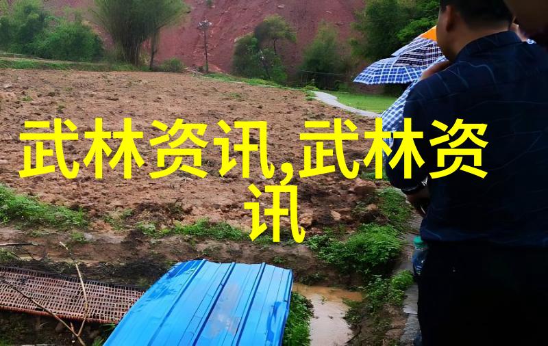 武林八大派中的南派太极拳如同天上的流星璀璨夺目在地上的江湖独树一帜