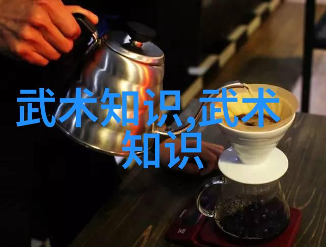 少林最厉害的拳法太极与气功的融合之旅