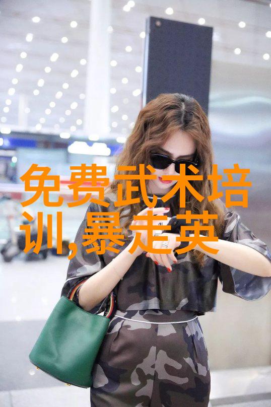 从金刚扇子到铁掌神通 武功秘籍大全中的名将技艺