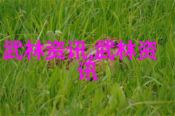 安徽武林中的这门派如同一位慈祥的长者温文尔雅却蕴含着深邃的内在力量它就是门派拳种叶式太极拳