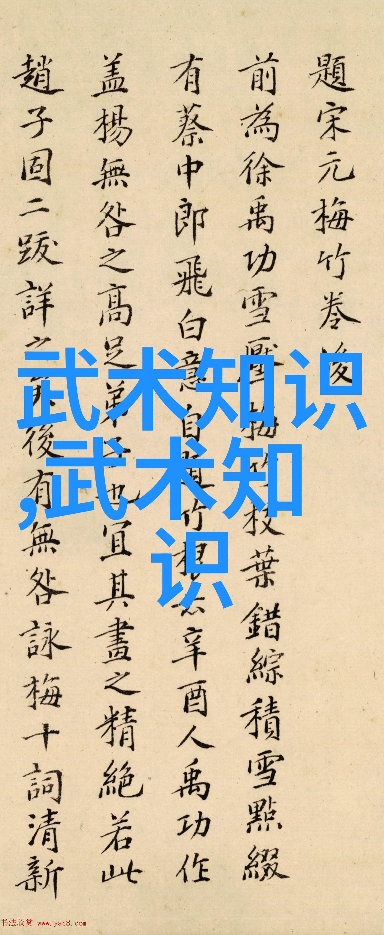 武林绝学金庸小说中的松溪神意派这门内家拳技不仅深受武当山的独特文化熏陶还蕴含着浓郁的江湖气息和无穷的