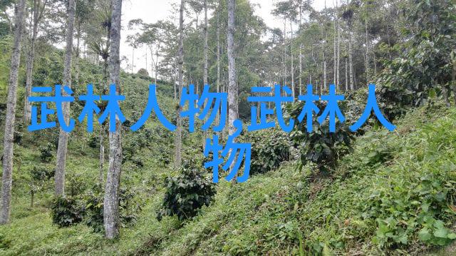掌握太极精髓二十四式简化太极拳图解指南