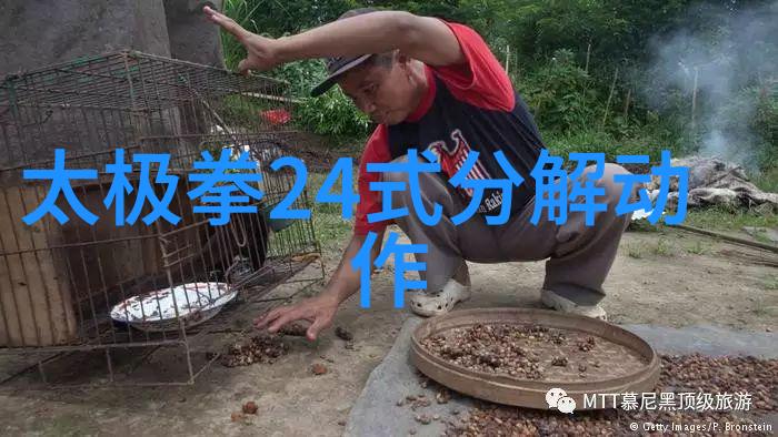 武林八大门派掌门人聚贤庄的智慧与江湖的光辉