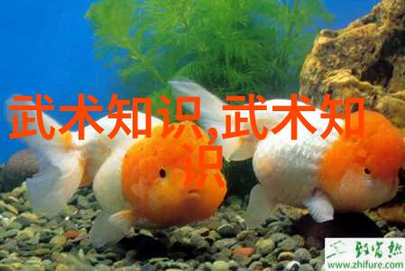 武术套路拳法入门基础步伐与姿态