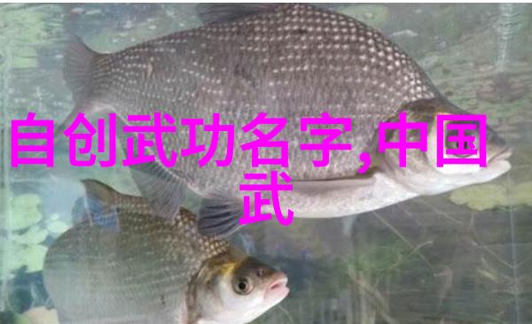 太极拳中的推手法理解和实践