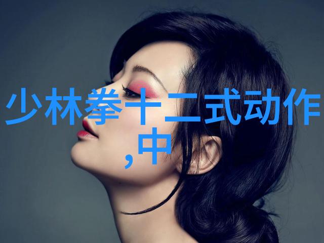 古典与现代的交响曲中国体系最庞大武术门派的发展变迁