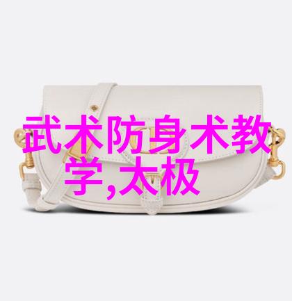 中国十大最强武术中的奇迹反复演绎的杨氏太极拳
