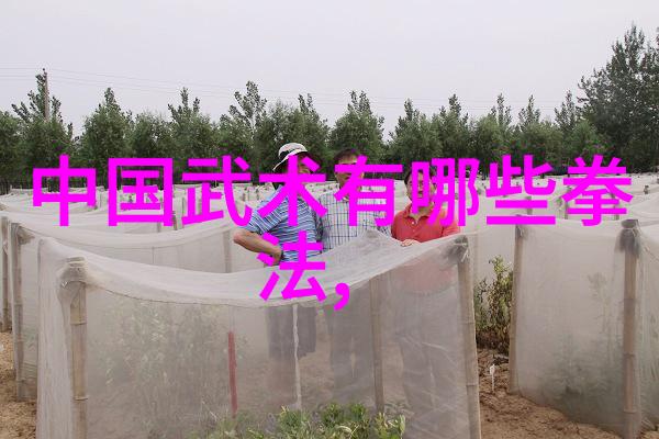 庶女攻略徐令宜肉合集宫廷斗争下的暗流涌动