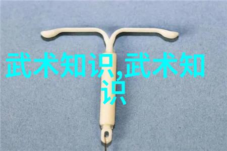 武术万维网官网探索中华武学的数字宝库