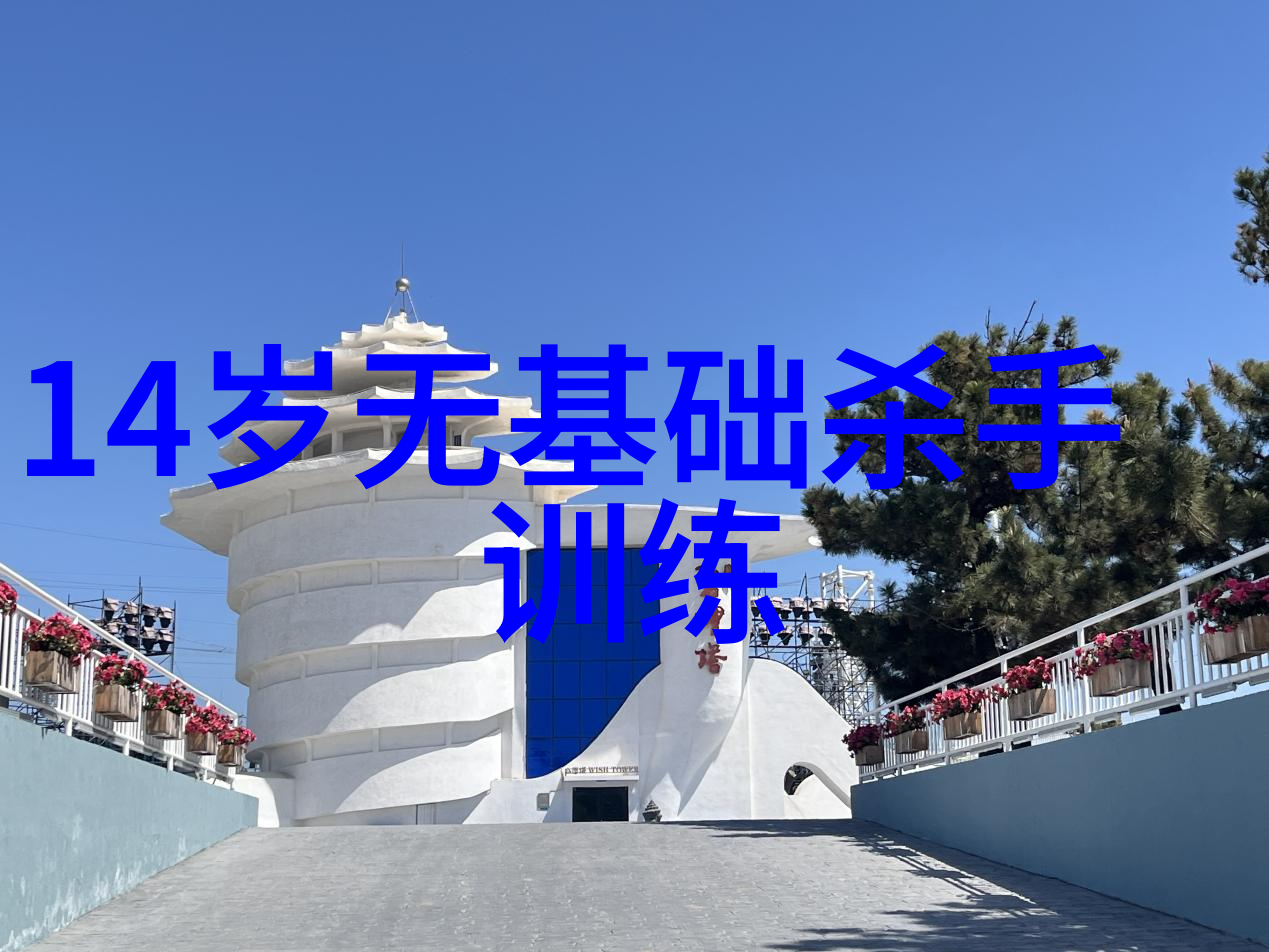 太极拳中的女子门派套路精妙无穷如同天上星河流畅自然如同潺潺小溪