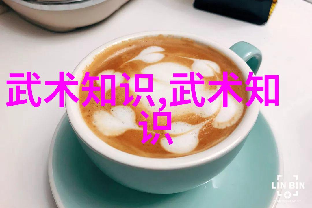 太极拳24式分解动作教学-精华之谜揭秘每一式的内在智慧