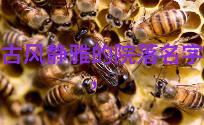 打虎也得看招式练武不仅要功夫更要幽默