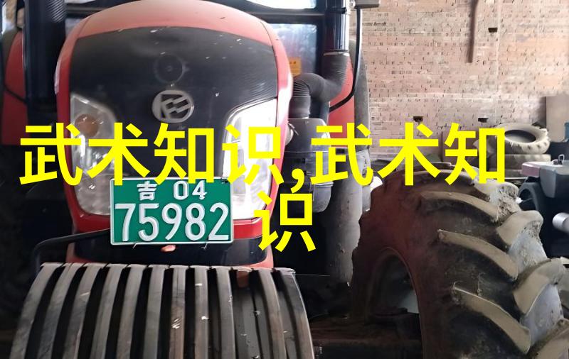 静中动揭秘太极拳24式的韵味与力量