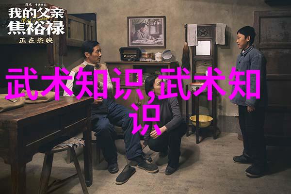 杨式大架中架小架少儿散打武术的基础之星