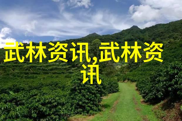 中国武术门派之巅峰强者内家拳法与外家硬功的融合
