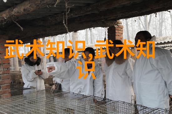少林武术中的巅峰之击百步穿杨拳的秘密