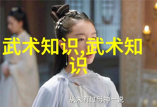拳砖练习的秘密揭开一拳打断砖背后的训练之路