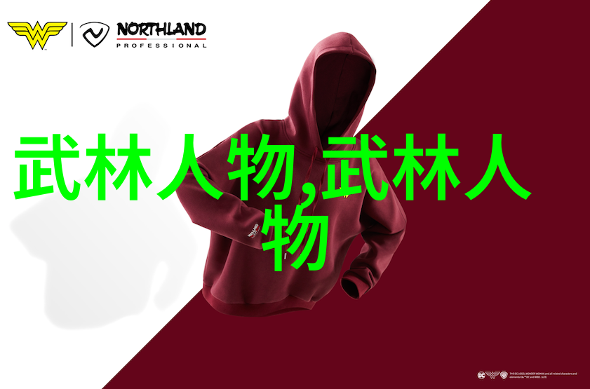 探究十三式太极拳每一式背后的深邃意境与精妙动作