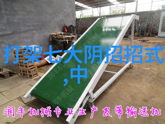 中国武术十大拳法排名古老功夫艺术的精髓探索