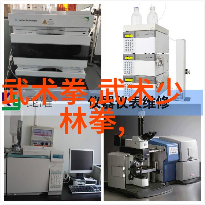 太极拳比赛准备高级选手如何利用每一式的精髓提升表现力度