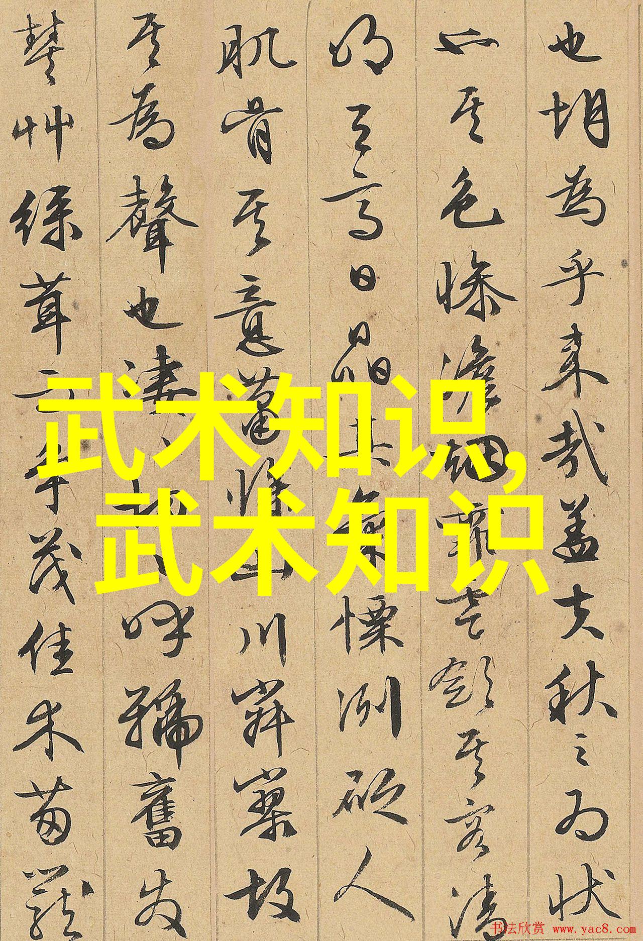武术的12个基本动作揭秘我如何成为一名内功深厚的师傅