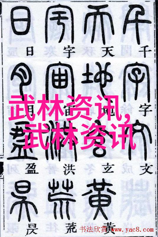 自学武术的艺术与实践古典武术现代格斗技巧个人训练计划