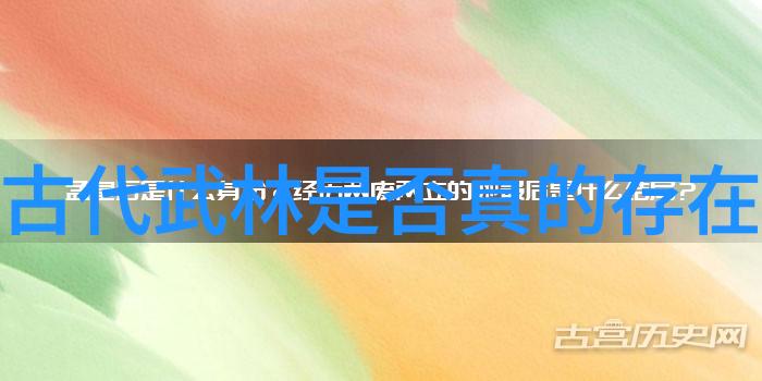 中国武术流派-探索中华武学揭秘中国有哪些传统武术流派