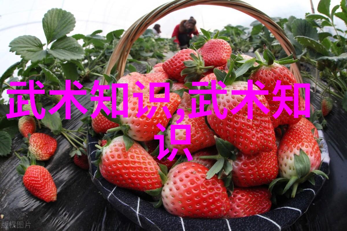 美式橄榄球助力2022新春网络健身大联欢点赞开启共同挥洒汗水为冬奥加油