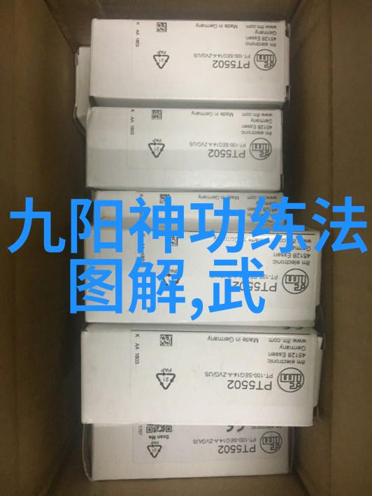 人物浅谈实战性最强武术十大意练太极拳的发展